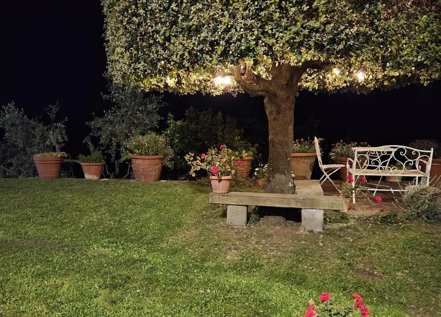 Casa Vacanze Lisa Apartment Palaia